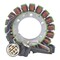 Rmstator Alternator Stator for Honda TRX 680 Rincon 2006-2014 RM01103 - alternate 3
